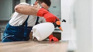 Best Pest Exclusion Services  in Ome, GA